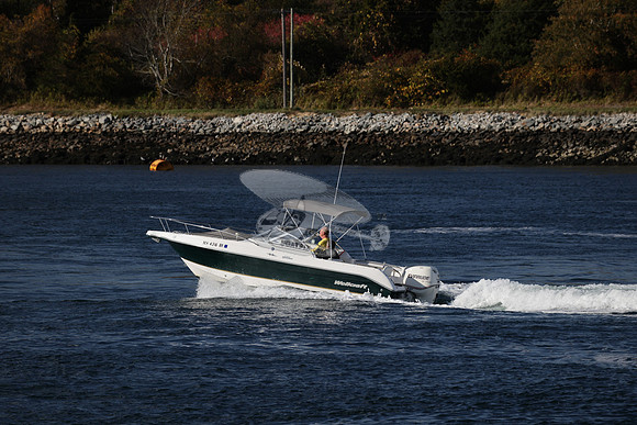 ms4316br.09