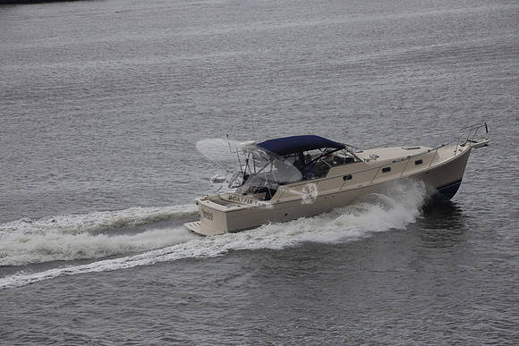 DIAMONDBACK.KENT ISLAND MD.3