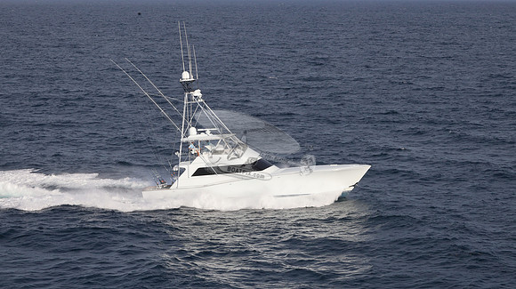 CHASIN TAIL.SINGER ISLAND.2955
