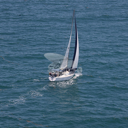 422.FL8313SN..SPIRIT OF THE WIND.11