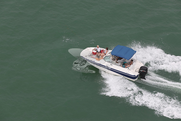 fl0091ne.8981