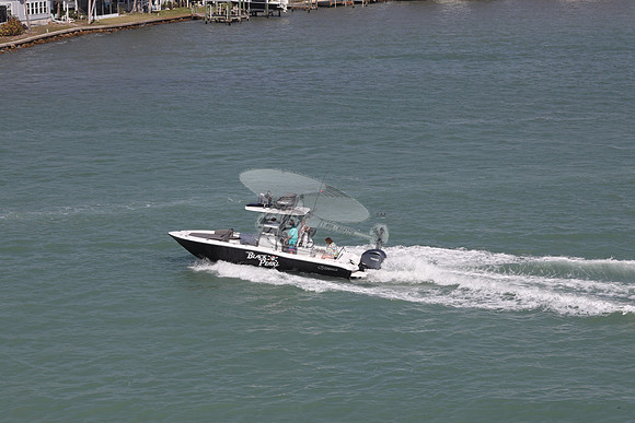 black pearl.2192