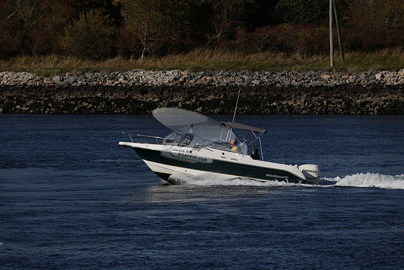 ms4316br.06
