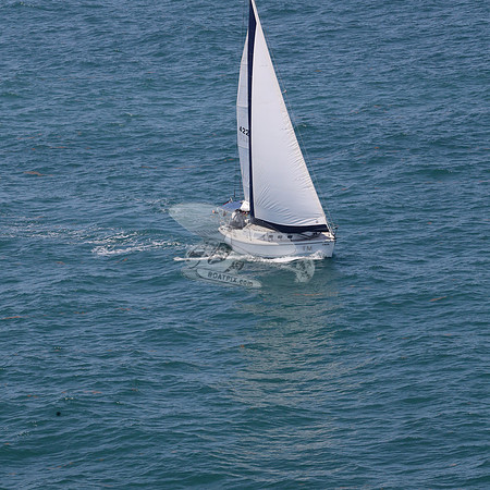 422.FL8313SN..SPIRIT OF THE WIND.40