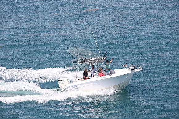 fl1436ka.07