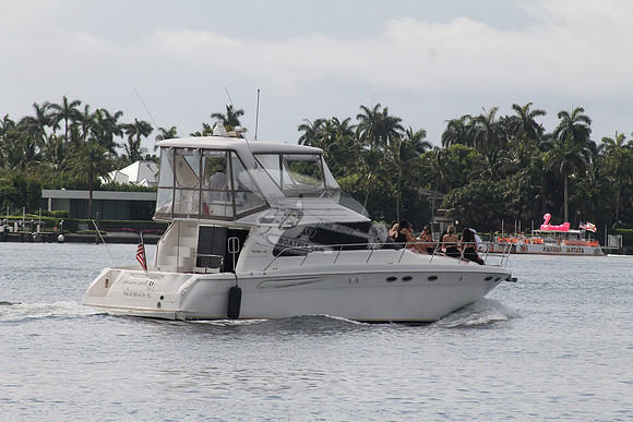 FL5355RR.DIAMOND D.7