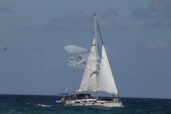 ANCHOR MANAGEMENT.09