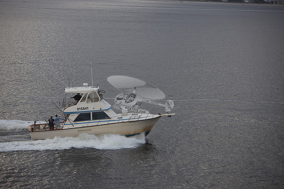 915841.WILD ROVER III.1201