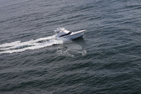 ABSOLUT PLEASURE.OCEAN CITY MD.24