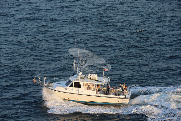 fish bound iv.ocean city md.8858
