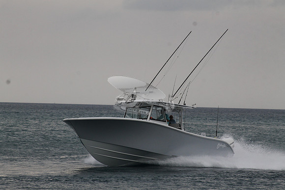CRY..YELLOWFIN.03
