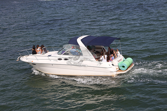 fl0378nh.stargazer.7151