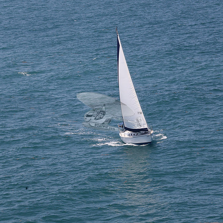 422.FL8313SN..SPIRIT OF THE WIND.47