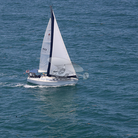 422.FL8313SN..SPIRIT OF THE WIND.30