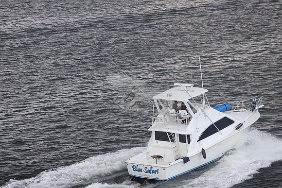 blue safari.laud.ocean.21