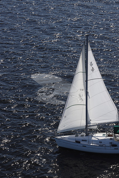00000.fl8253sx.5333