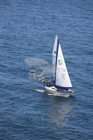 586.CAL 36.12