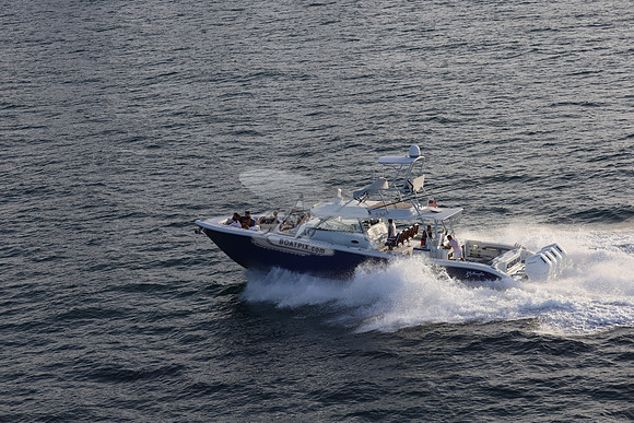 alegrias.bay harb.yellowfin.06