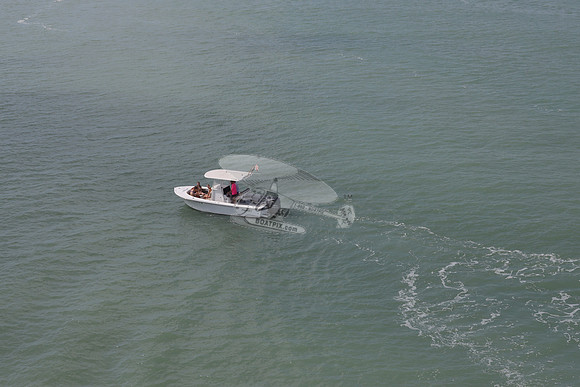 fl1367rp.8138
