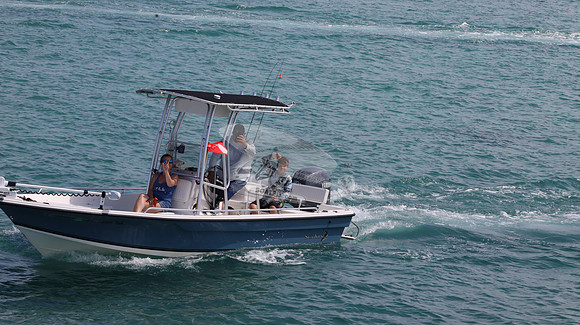 FL1281TA.15