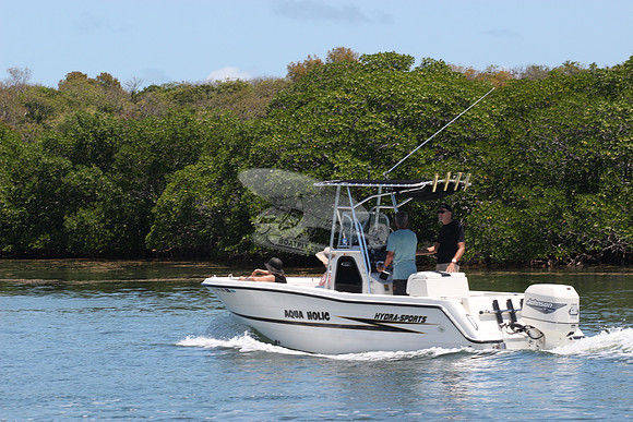 fl4144ma.aqua holic.0166
