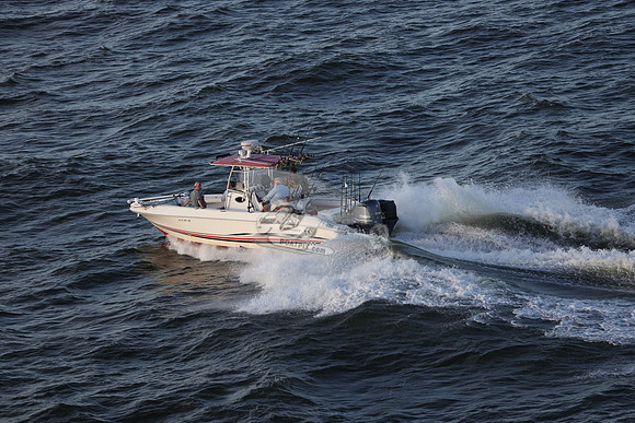 al0961rh.11