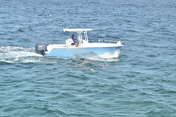 FL0661TN.314