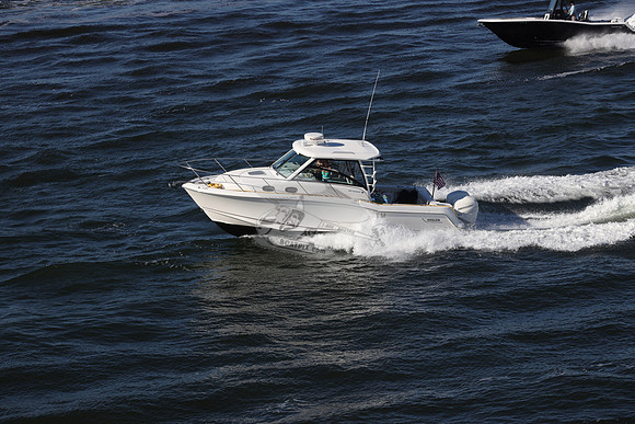 BOSTON WHALER31.4402