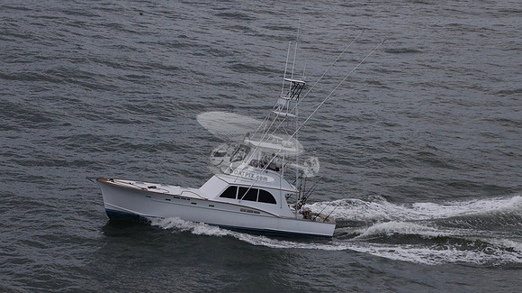 ballie who iii.islamorada fl.9507