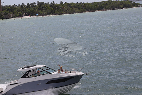 deem'd necessarycape coral.09