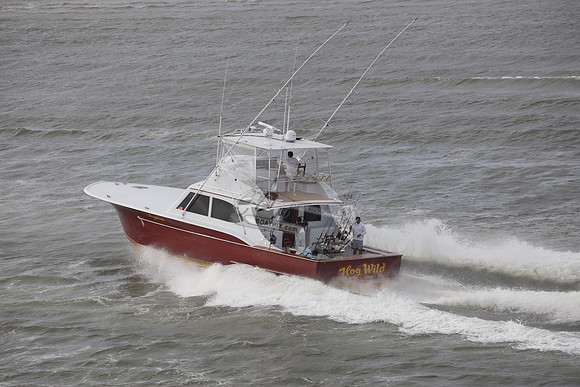 hog wild.manteo nc.3072