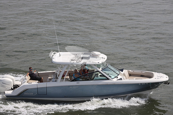 DL2970AL.07