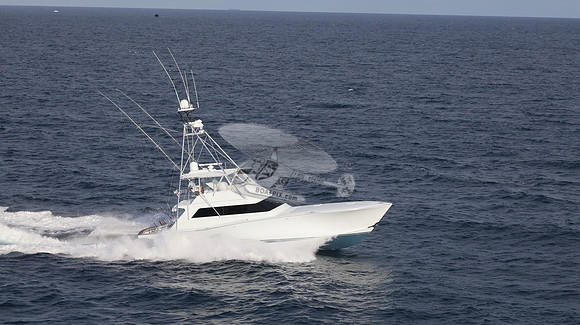 CHASIN TAIL.SINGER ISLAND.2956