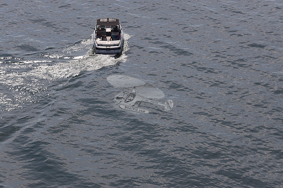 GA0356lj.wakester.05