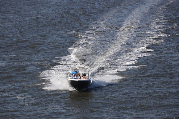 NJ1489HR.SEA BONSTER.02