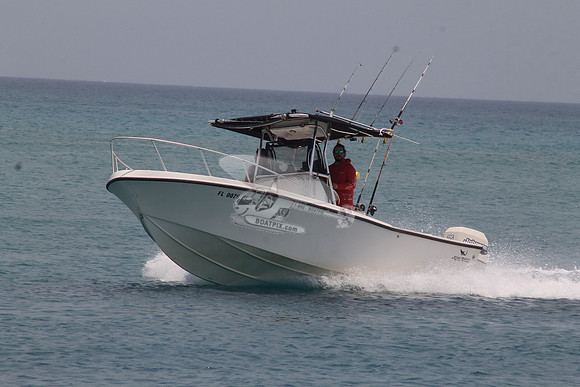 FL0078GL.41