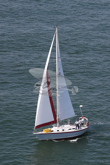 11.skalawag.4969