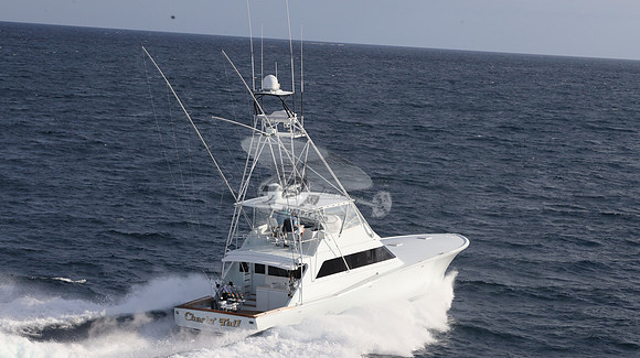 CHASIN TAIL.SINGER ISLAND.2933