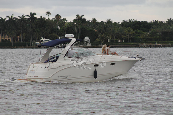 DISC GUY.PALM BCH FL.CHPRL31.709