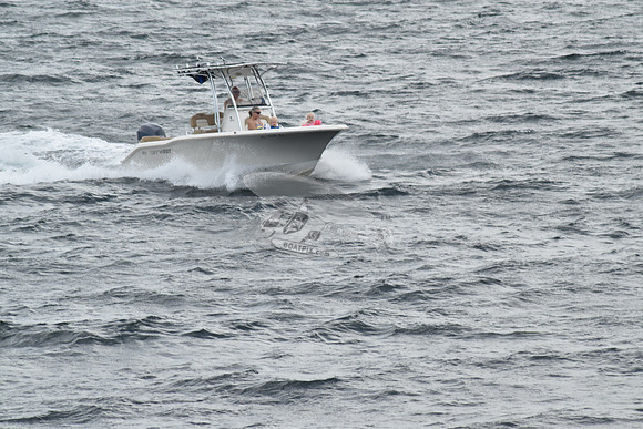 FL1768SJ.3