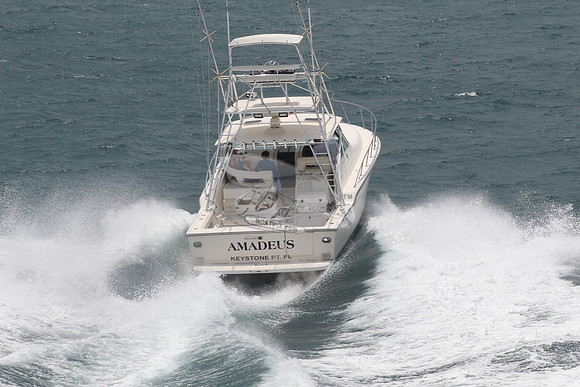 AMADEUS.KEYSTONE PT FL.01