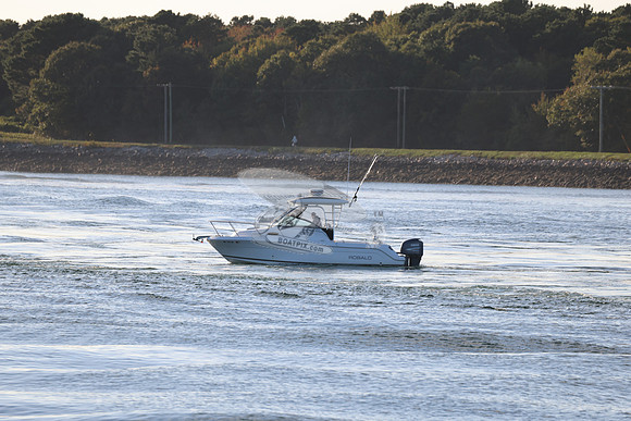 ms7202bx.2