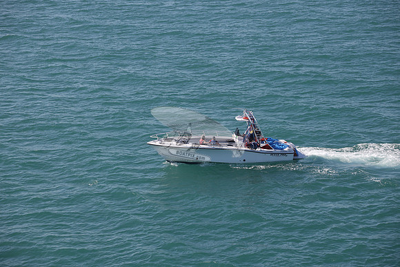 conch flyer.8272