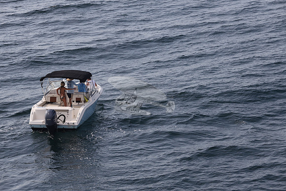FL0314TD.SEA YA.06