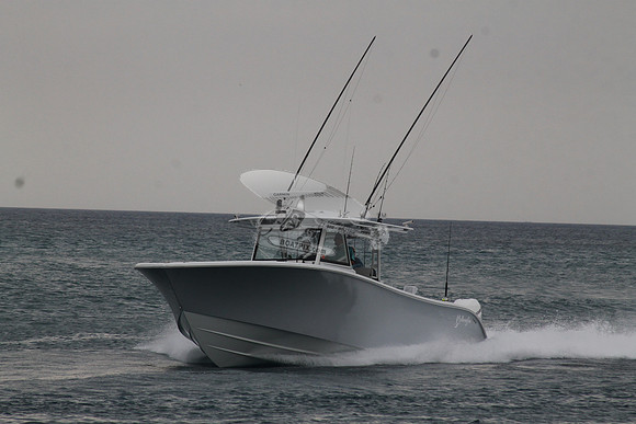 CRY..YELLOWFIN.02