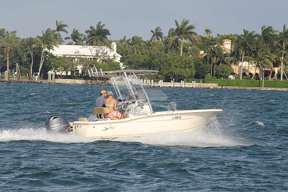 FL0786SX.11