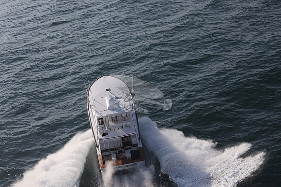 ABSOLUT PLEASURE.OCEAN CITY MD.37