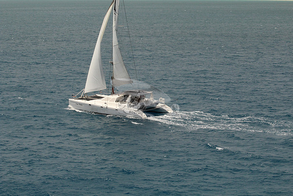00000.carpe tentum.voyage.1973