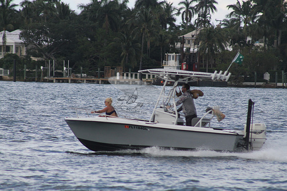 FL1184GL.10