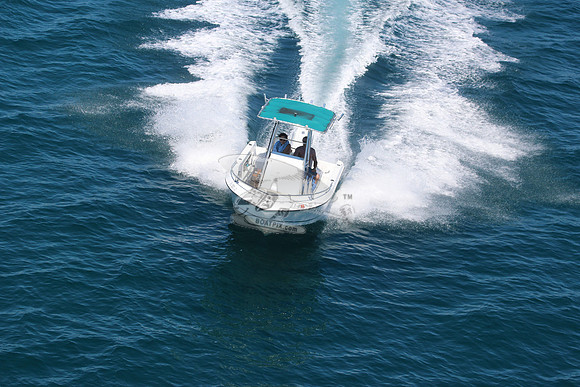 fl0321jy.5987